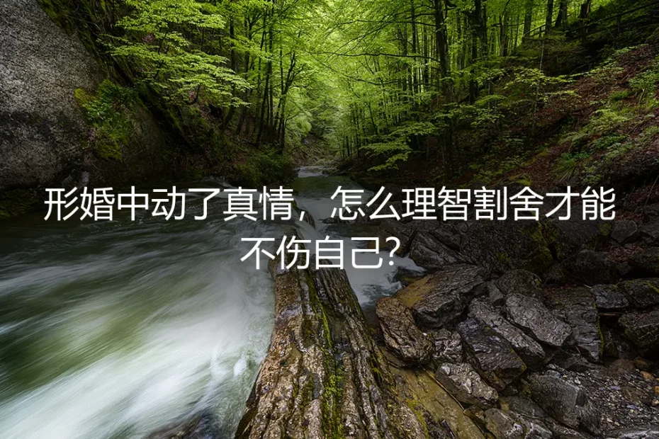 形婚中动了真情,怎么理智割舍才能不伤自己?