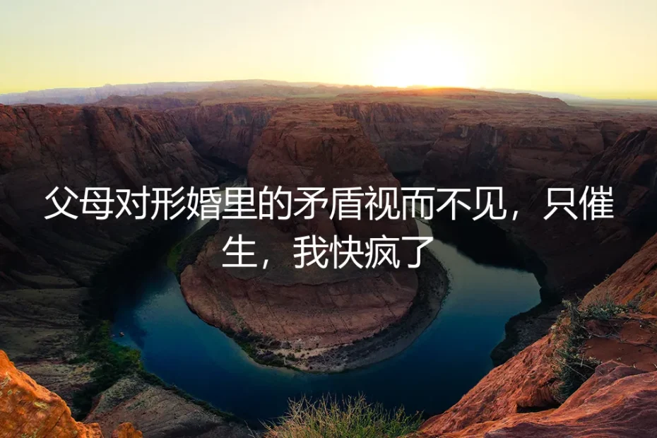 父母对形婚矛盾视而不见,只催生,我快疯了