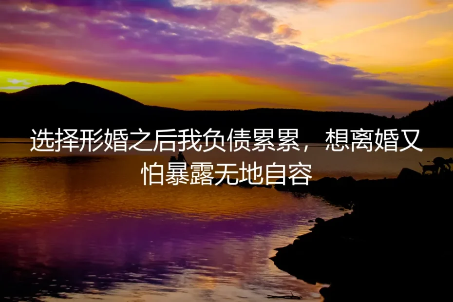 选择形婚之后我负债累累,想离婚又怕暴露无地自容