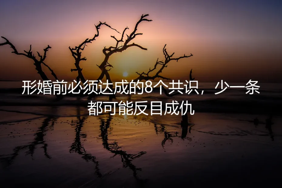形婚前必须达成的8个共识，少一条都可能反目成仇