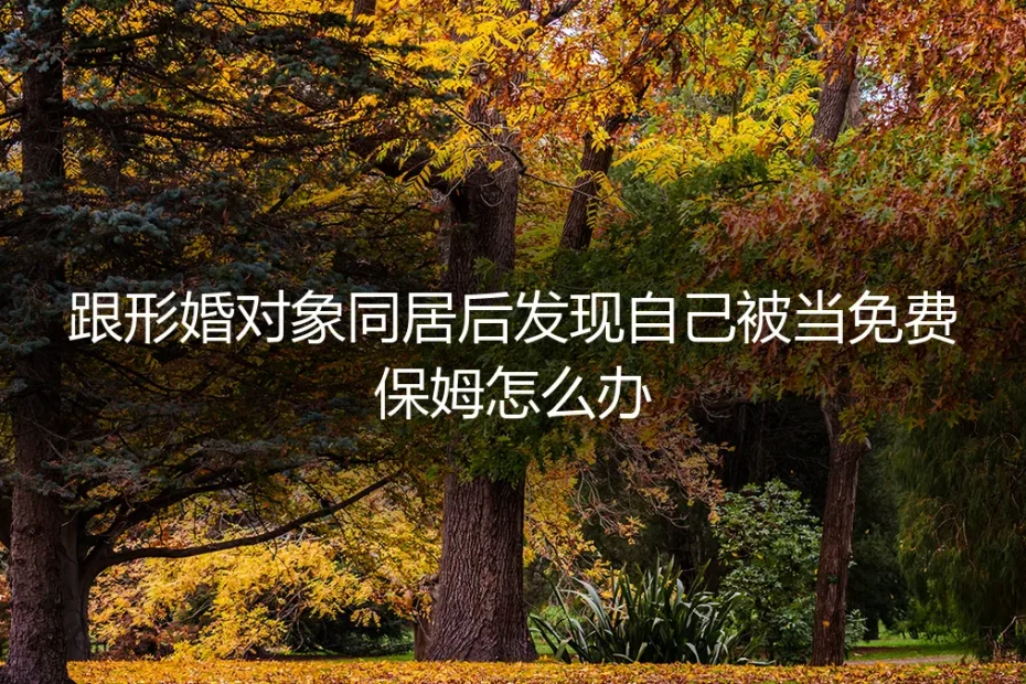 跟形婚对象同居后发现自己被当免费保姆怎么办?
