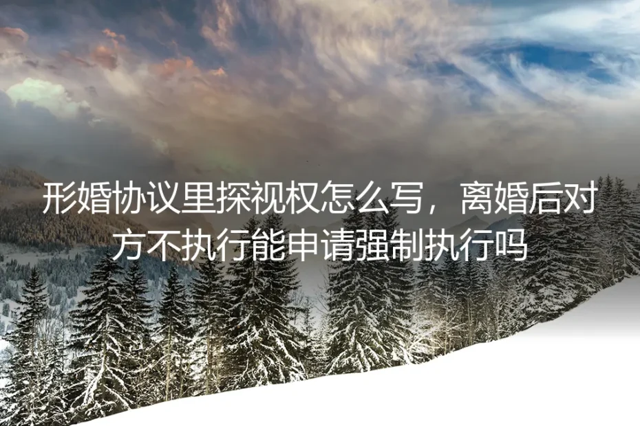形婚协议里探视权怎么写？离婚后对方不执行能申请强制执行吗？保姆级实操避坑指南