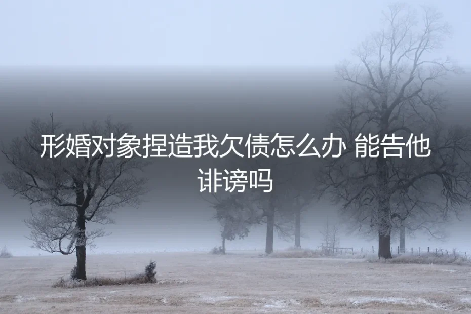 形婚对象捏造我欠债怎么办?能告他诽谤吗?