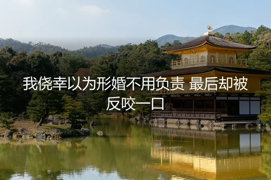 我侥幸以为形婚不用负责 最后却被反咬一口
