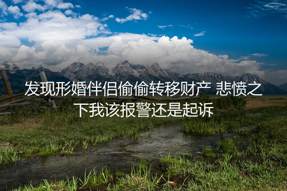 发现形婚伴侣偷偷转移财产,该报警还是起诉?