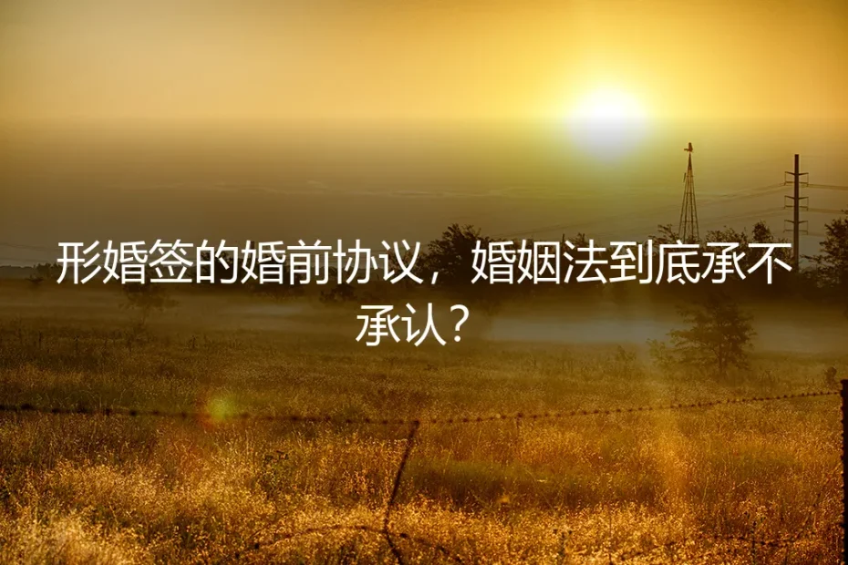 形婚签的婚前协议,婚姻法到底承不承认?