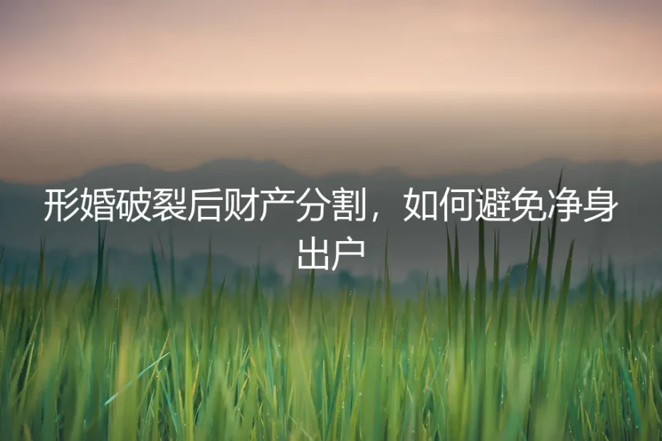 形婚破裂后财产分割,如何避免净身出户?保姆级实操避坑指南