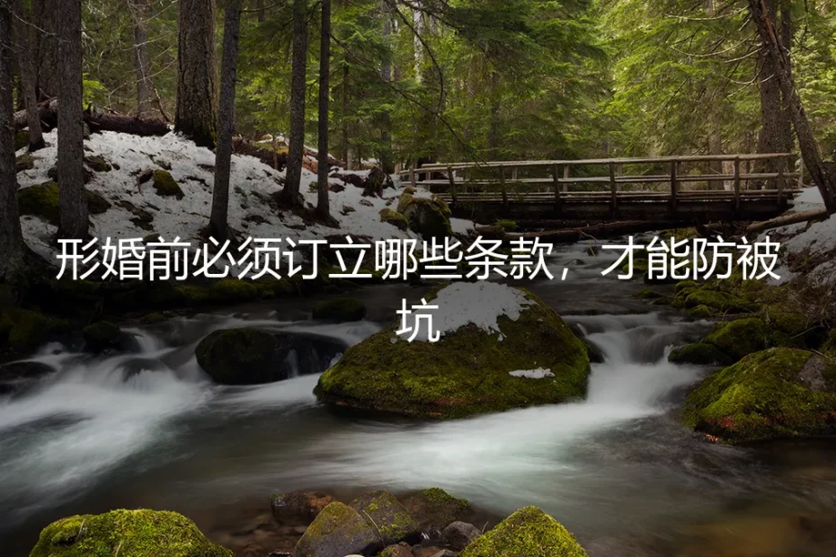 形婚前必须订立哪些条款,才能防被坑?保姆级实操避坑指南